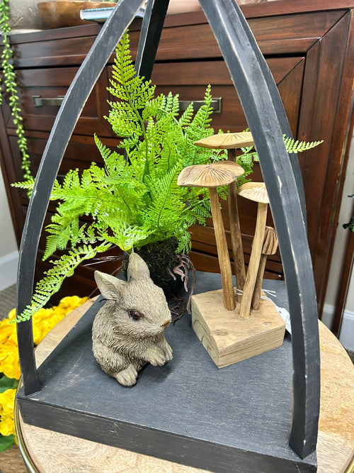 12" Fern with Soil and Root Ball