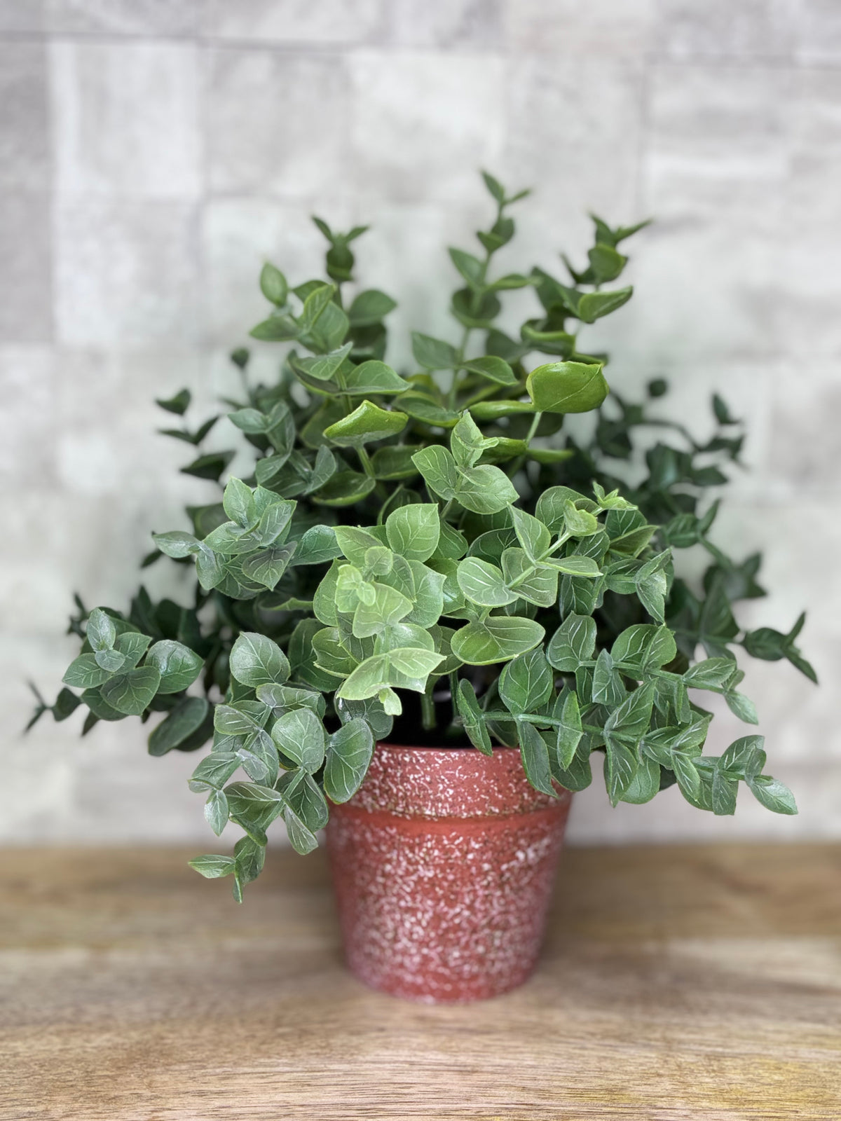 9" Faux Eucalyptus in Pot