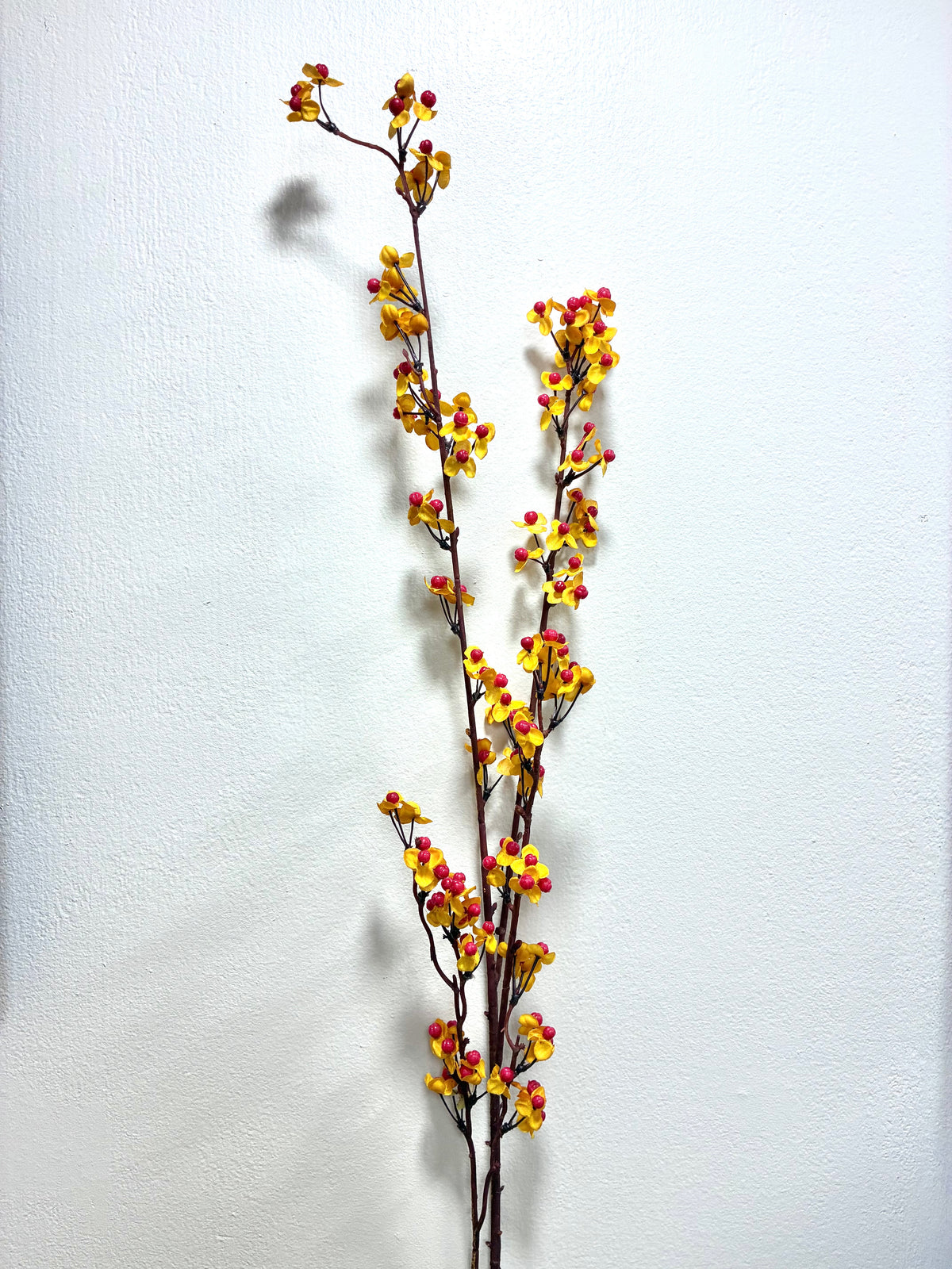 43" Bittersweet Spray